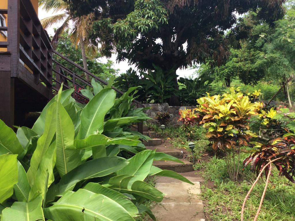 Kaye Mango Villa Soufrière Exterior foto