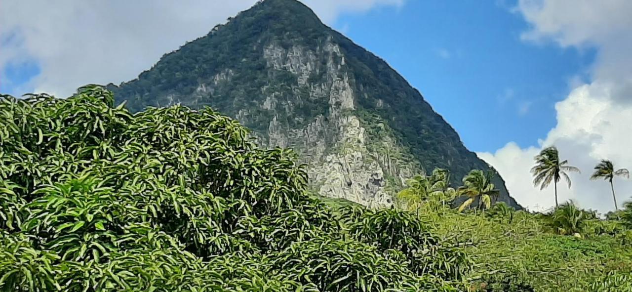 Kaye Mango Villa Soufrière Exterior foto